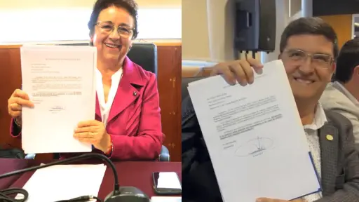 Con el sillón municipal de Los Ángeles en mente: Teresa Stark y Patricio Badilla renuncian al Consejo Regional 