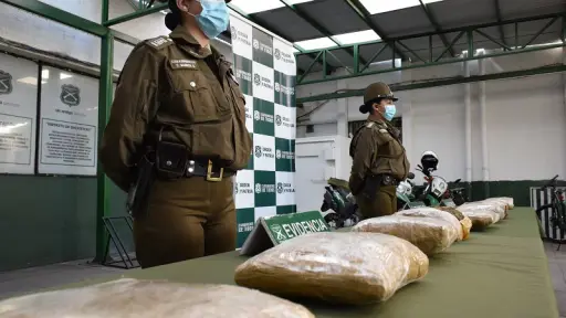 Operativo en Mulchén reveló uso de menores de edad como burreros para trasladar drogas 