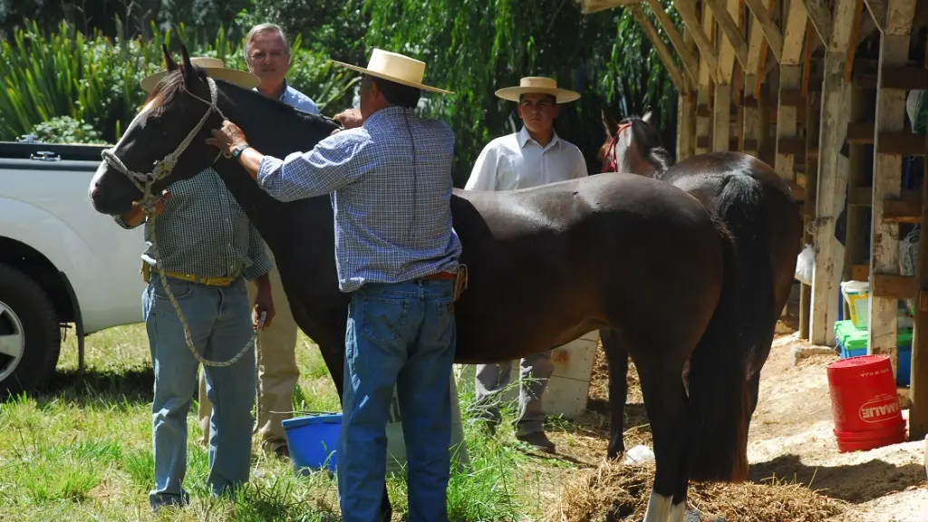 Feria Socabio, Archivo La Tribuna