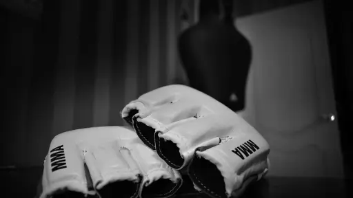 Chile y la región se vuelcan en la UFC y sus pronósticos