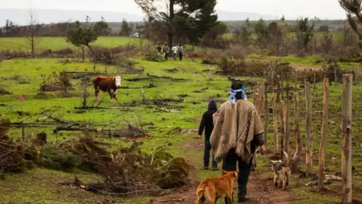 INDAP abre primera unidad PDTI para agricultores indígenas en Quilaco 