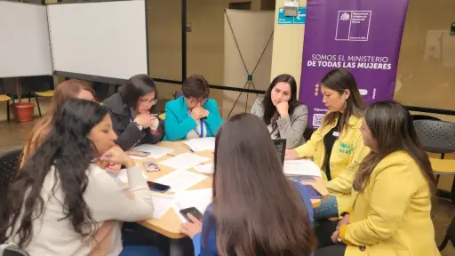 Mujeres del Biobío contribuyen al Plan Nacional de Acción contra la Violencia de Género