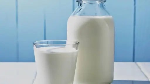 Llaman a crear un modelo de etiquetado lácteo que diferencie a bebidas animales de vegetales