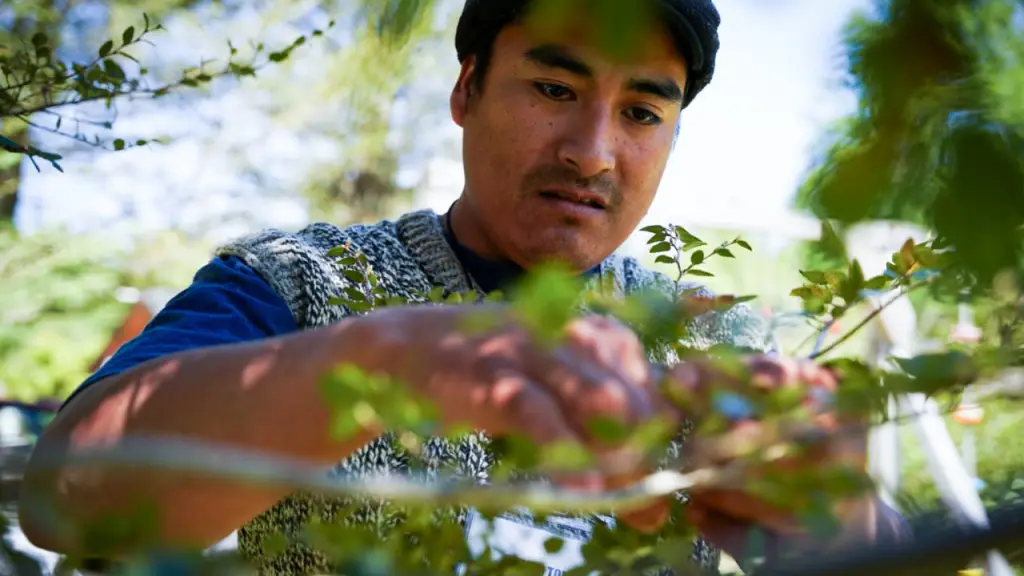 Proyectos de agricultura sustentable de jóvenes Chile.