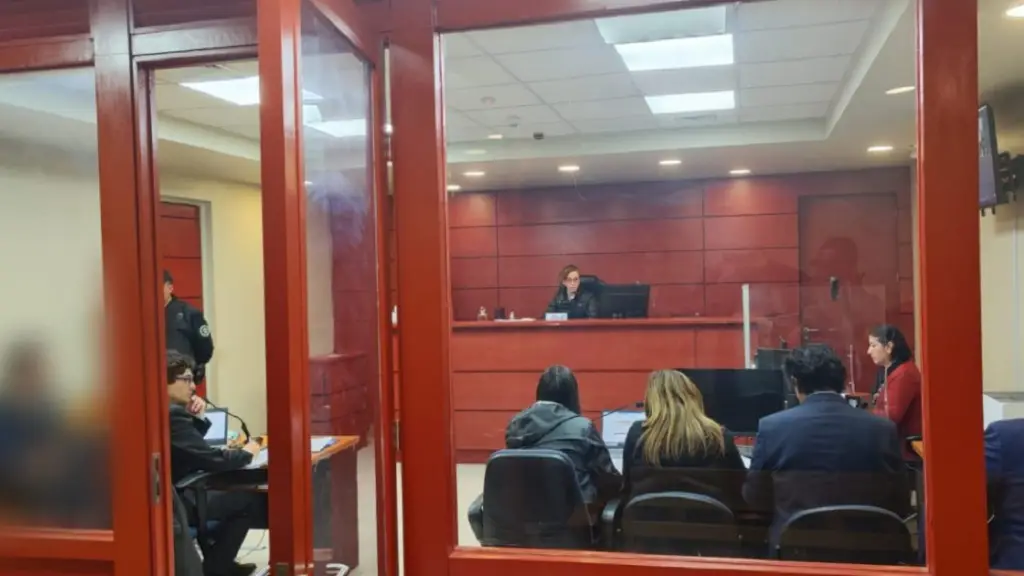 La tarde-noche de este viernes, el sujeto de 30 años fue detenido como autor del delito de instalación de artefactos explosivos en los centros comerciales del Gran Concepción., Sabes.cl