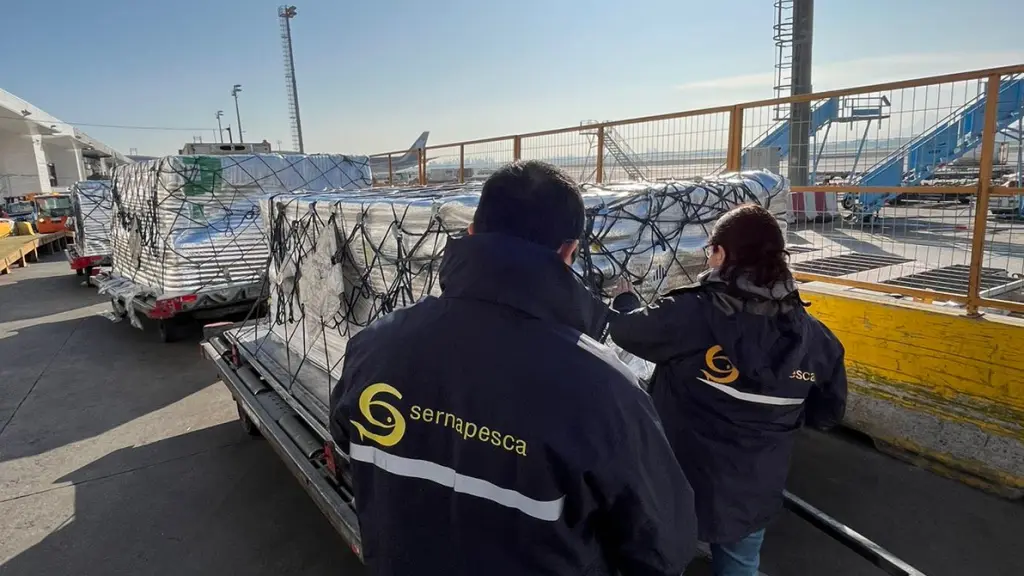 Servicio Nacional de Pesca y Acuicultura, Cedida