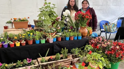 Rescatan importancia de Feria de las Flores Campesinas como espacio para potenciar el rubro floricultor