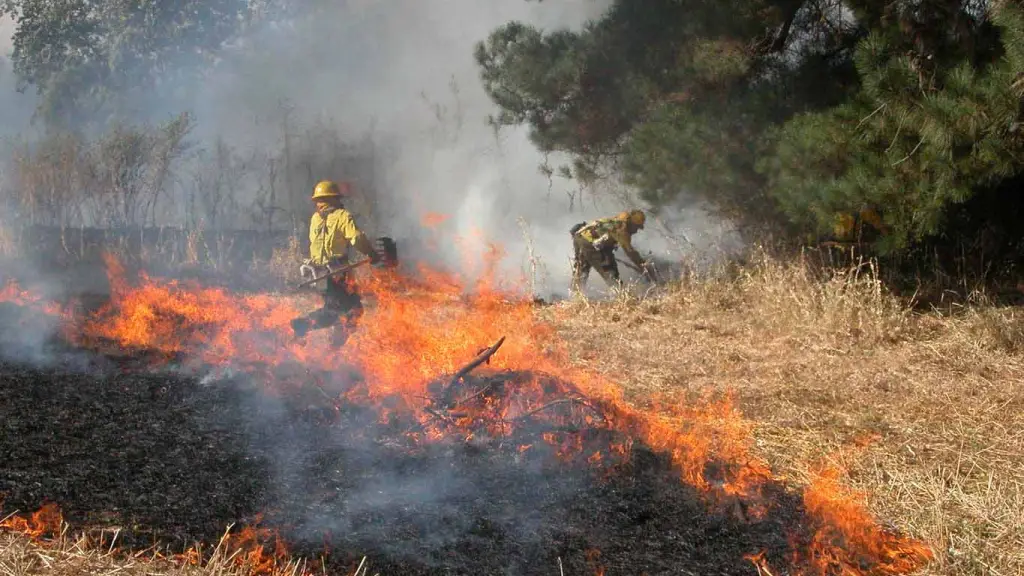 Incendios forestales 2023, Cedida