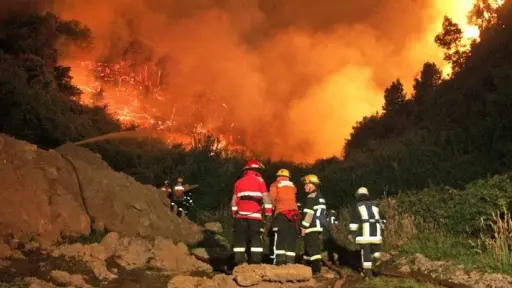 Corma: Riesgo de los incendios forestales llegaría a niveles extremos
