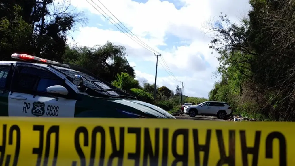 Balacera en Los Ángeles, La Tribuna