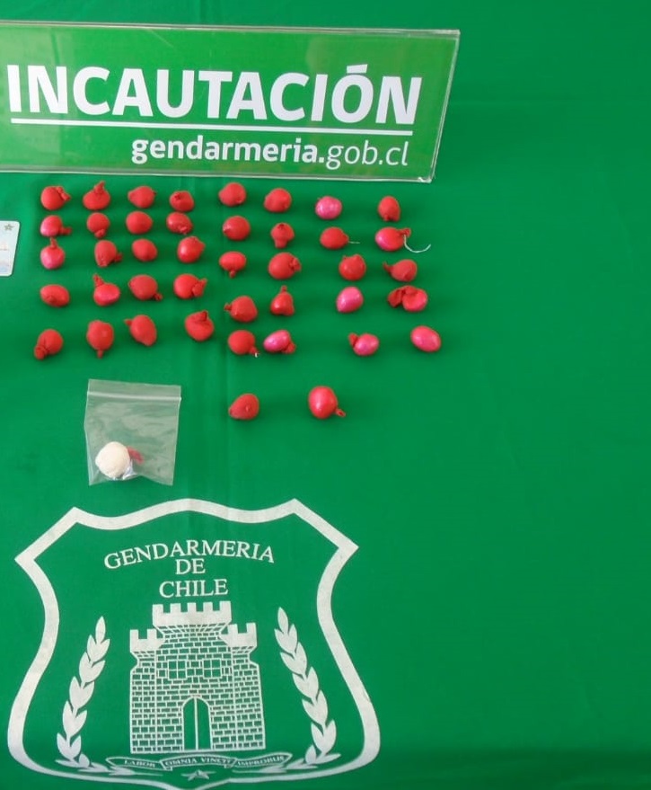 Decomiso de ovoides de droga en CDP Yumbel / La Tribuna