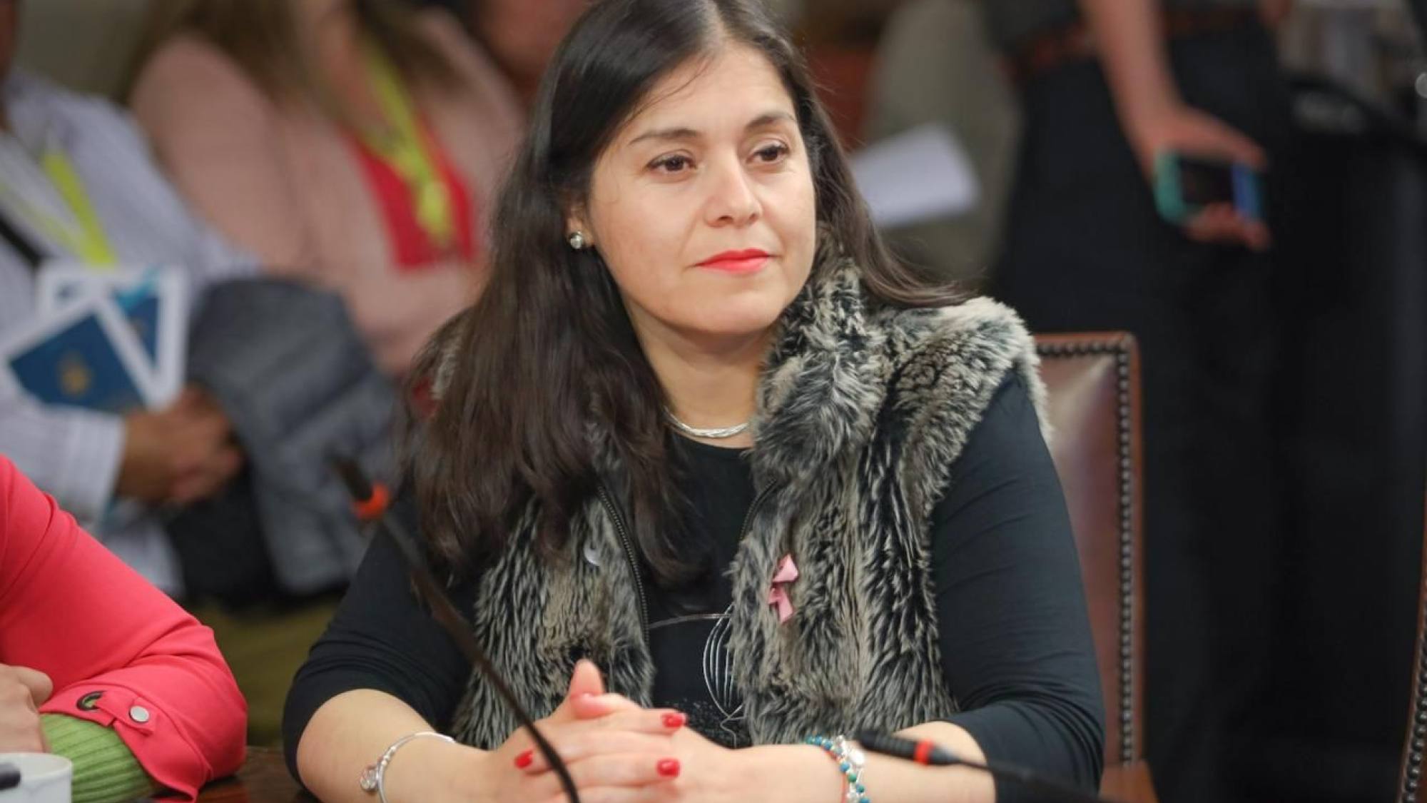 Diputada Karen Medina renuncia al PDG tras episodio de violencia de ...