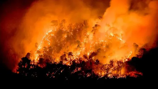 Analizarán incremento de incendios forestales en Chile