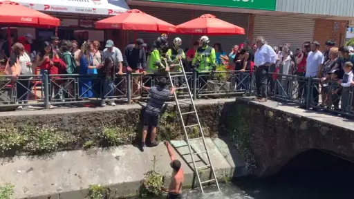 Inusual bañista en estero Quilque generó operativo de rescate en el centro de Los Ángeles
