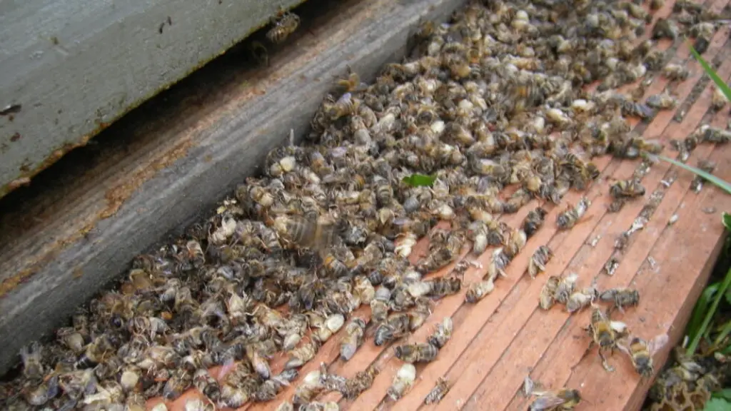Los apicultores acusaron que los acontecimientos descritos atentan contra el Plan de Soberanía para la Seguridad Alimentaria y las propuestas y políticas derivadas de este.