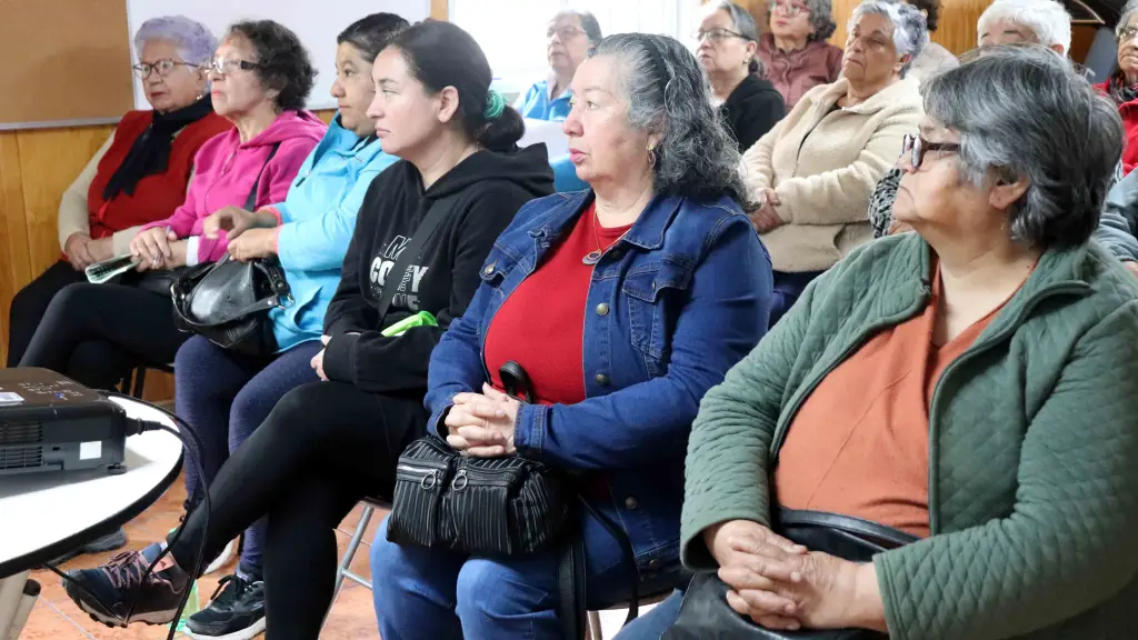 Dirección Comunal de Salud Los Ángeles, Cedida