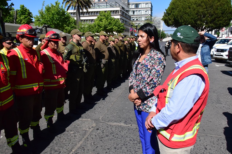 Brigadas contra incendios forestales  / La Tribuna