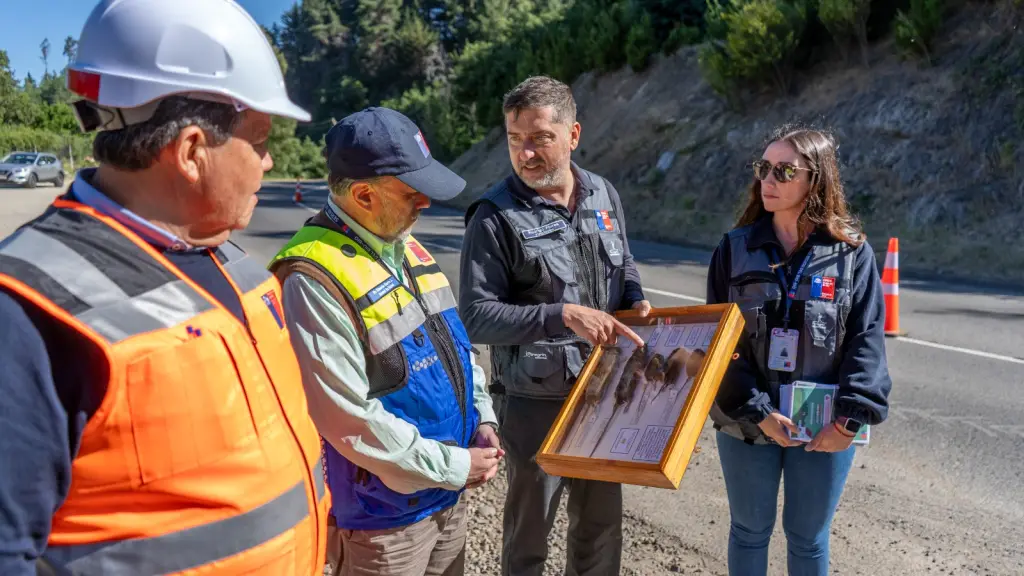 Seremi de Salud, Cedida