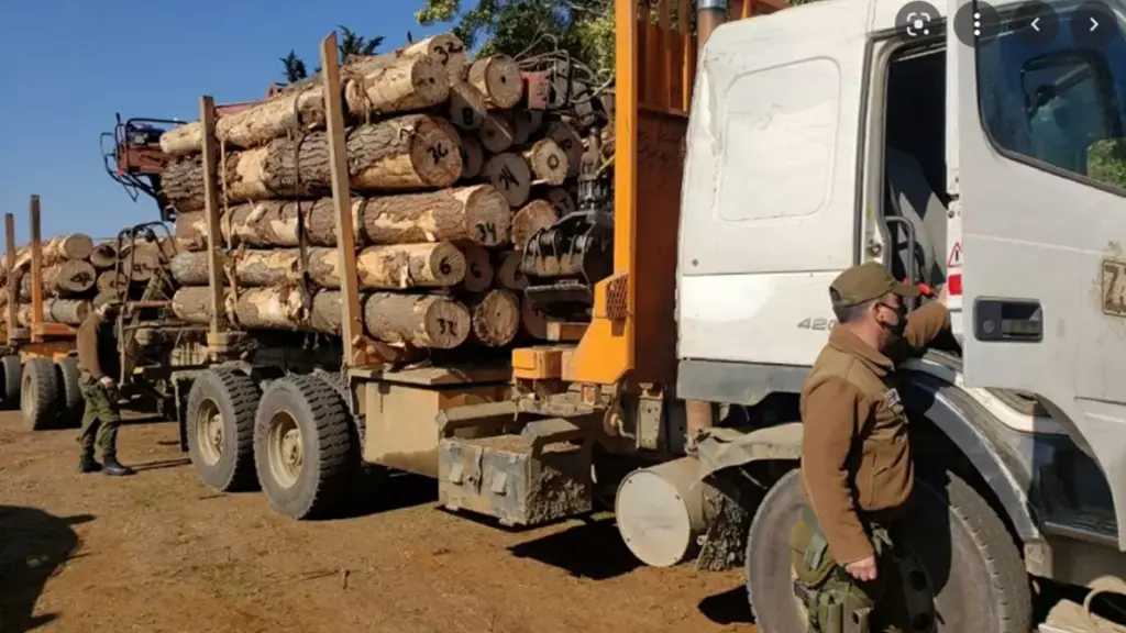 Desde Acorofag A.G. plantearon que la Ley de Usurpaciones tendrá también un efecto positivo en la disminución del robo de madera, al ser el comienzo de la actividad extractiva ilegal.