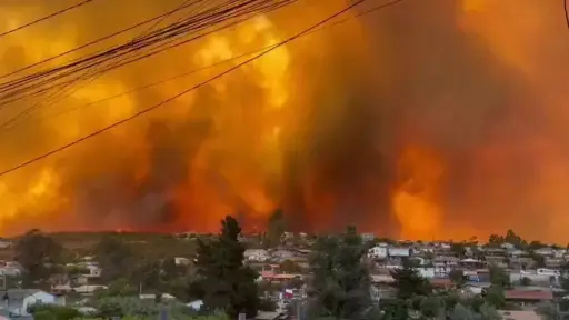  Cuatro comunas en Alerta Roja en Valparaíso por incendios forestales