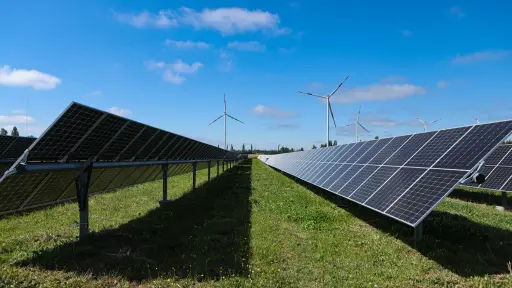 Inauguran dos parques solares en Bíobío: Paillihue y Laja