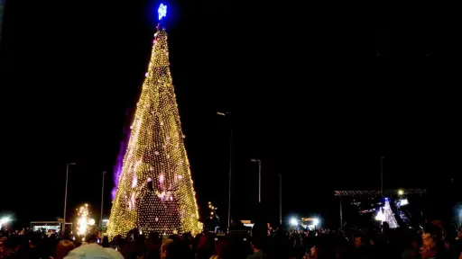 Realizan encendido de Árbol Gigante navideño en el Fuerte Histórico de Nacimiento
