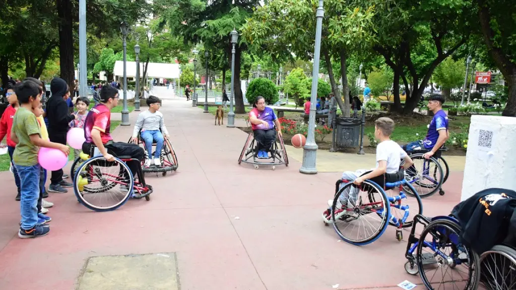Feria de Inclusión en Discapacidad en plaza de Armas de Los Ángeles buscó “concientizar” a la comunidad