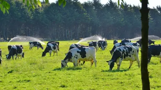 Fedeleche llama a los productores lácteos a adecuarse al nuevo marco medioambiental