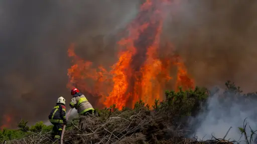 Declaran Alerta Temprana Preventiva por amenaza de incendios forestales en la provincia de Biobío
