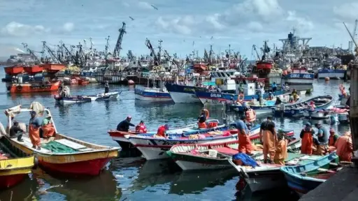 Desafíos de la pesca artesanal en el Biobío: Baja rentabilidad, pesca ilegal y brecha tecnológica