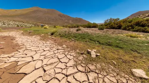 96% de los chilenos opina que el país está poco o  nada preparado para enfrentar cambio climático y sequía