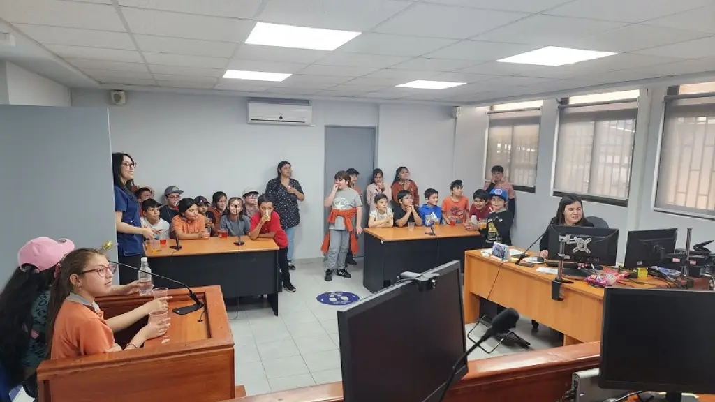 Visita de alumnos a Juzgado de Garantía de Mulchén, Redes sociales