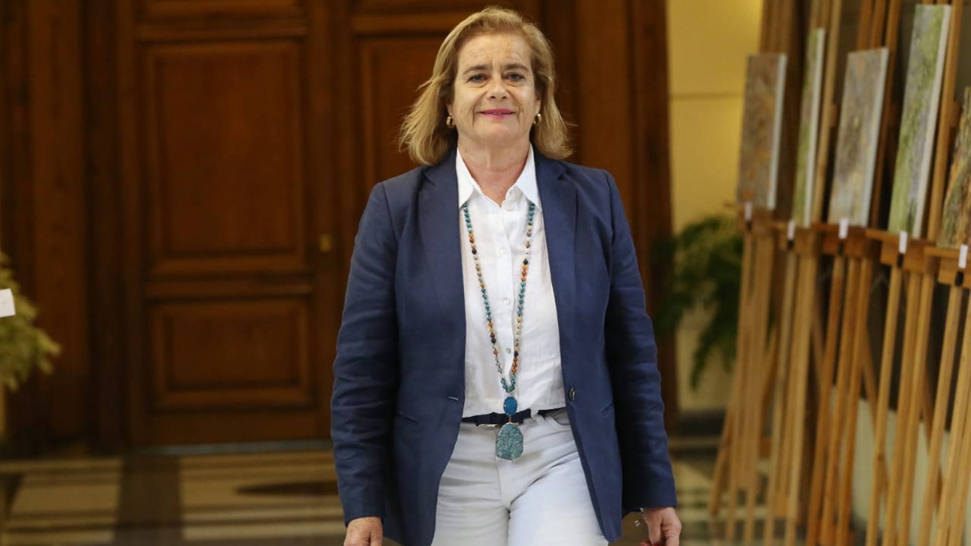 Diputada Weisse ingresa proyecto para postergar entrada en vigencia de