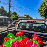 Destacan entrega de cenas navideñas que por tercer año consecutivo benefició a familias nacimentanas
