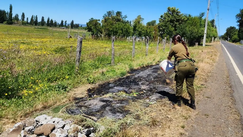 Quema no autorizada en Mulchén, Carabineros