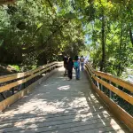 Habilitan remozada pasarela en los Saltos del Laja: locatarios invitan a turistas para temporada estival