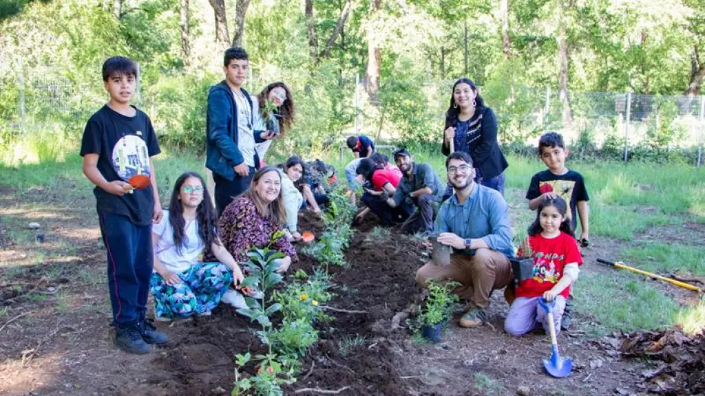 Escuela de Recinto aprende sobre manejo de ecosistemas a través de reforestación de especies arbóreas, Seremi de Medioambiente Ñuble