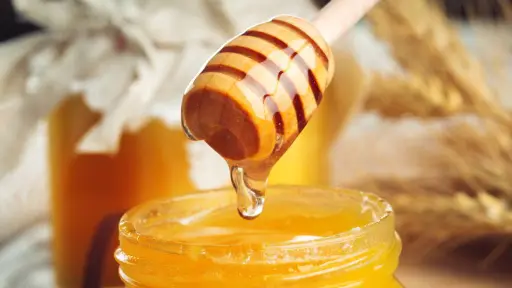Apicultores explican dificultades que frenan desarrollo de la miel orgánica