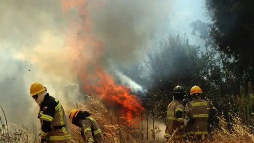 Corma Biobío asegura que recursos están disponibles y desplegados para evitar incendios forestales