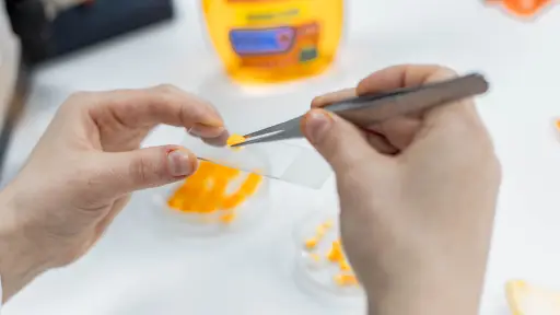 Chilenos transforman cáscara de naranja en productos de limpieza para el hogar con nanotecnología