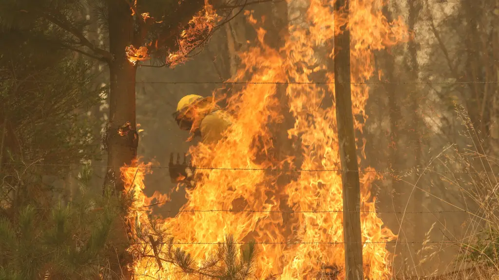 La situación de Los Ángeles, donde gran parte de los incendios se originan por quemas ilegales o negligencias. Además, en menor medida, se registran incendios con múltiples focos.