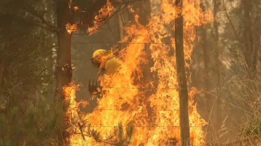 Piden agotar instancias para conocer causas de los incendios forestales