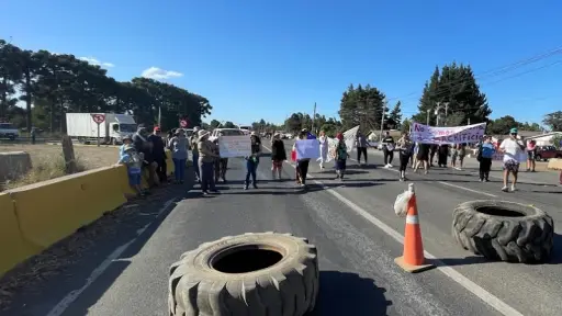 Negrete: Vecinos protagonizaron manifestación y corte de ruta en Villa Coihue