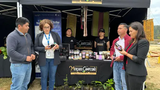 En Tirúa impulsan venta de productos agrícolas con nuevo Mercado Campesino de INDAP