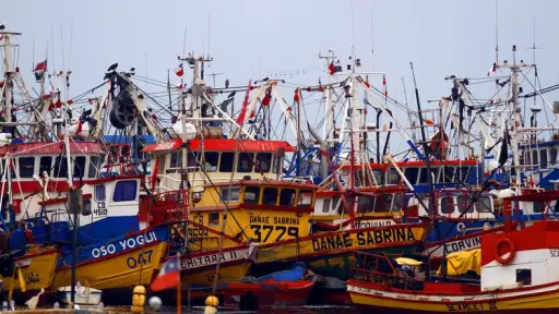 Navegando hacia el crecimiento: Biobío eleva su economía marítima con  aumento del 25% de desembarque pesquero y 2% en movilización portuaria