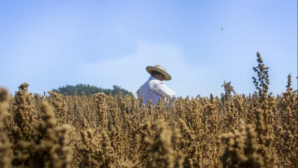 En el marco de las inundaciones del año pasado, INDAP ejecutó más de .300 millones para la reconstrucción de obras de riego afectadas por el fenómeno climático.