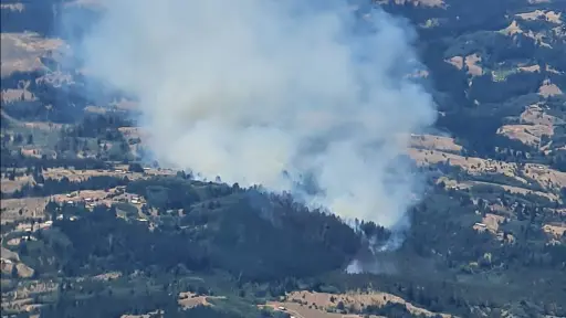 ACTUALIZACIÓN: 35 hectáreas fueron afectadas por el incendio en Yumbel que sigue en combate