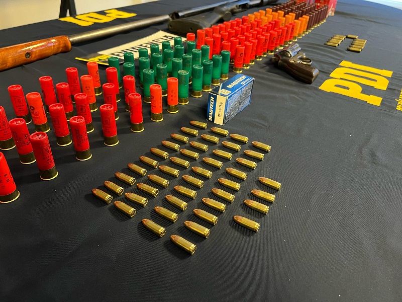 Armas y municiones decomisadas por PDI / PDI