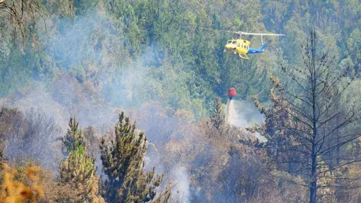 Mujer es detenida en Santa Fe por iniciar incendio forestal: Consumió cuatro hectáreas de bosque