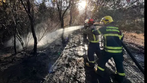 Incendio forestal consume dos hectáreas de bosque nativo en Alto Biobío 